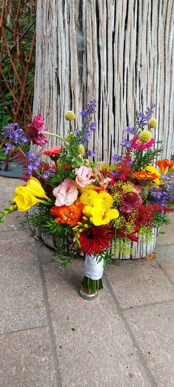 1-blumen-knibbe