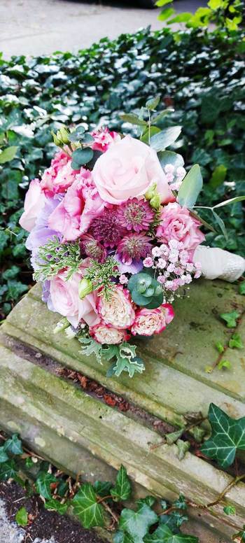 4-blumen-knibbe