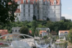 Burgblick-Meissen-Dorint