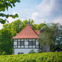 Hoflößnitz