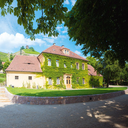 Unbenannt-1