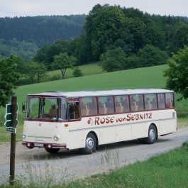 Rose-von-Sebnitz