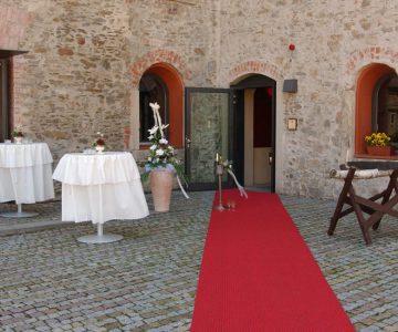 baumstamm-schloss-grossenhain